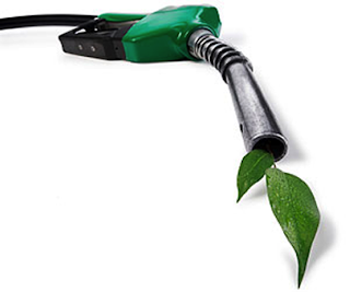 Give Me Green, Give It To Me NOW!