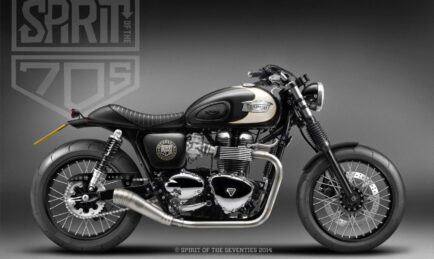 I Want Triumph!