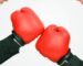 Jaguar aiming to punch German noses