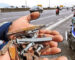 Malaysian Roads are riddled with Danger and…Animals