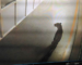 A Big Cat prowls Maruti Suzuki