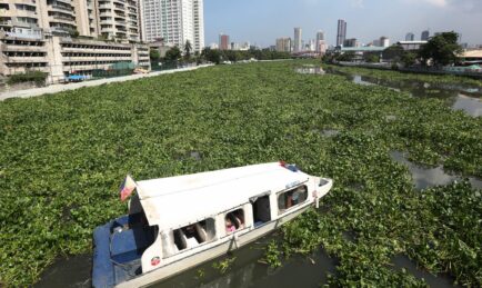 Pasig River Ferry: Another Solution to Manila’s Traffic Woes?