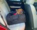 The Eight Best Car Seats For Dogs The Eight Best Car Seats For Dogs