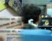Apa Nak Buat Kalau Lesen Memandu Dan Cukai Jalan Tamat Tempoh Semasa PKP? Apa Nak Buat Kalau Lesen Memandu Dan Cukai Jalan Tamat Tempoh Semasa PKP?