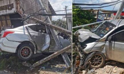 Ini Bonggol Ke Batang Pokok? Tebal Semacam Sampai Undang Maut