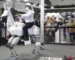Kawasaki Shows Off Electric GOAT That a Human Can Ride