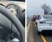 Tesla Gives New Car to Owner Who Lost a Steering Wheel Whilst Driving