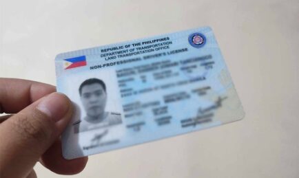 Saan napunta ang mga PLASTIC CARD LICENSES?