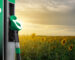 Could Bio-Fuels Replace Fossil Fuels Around the Globe? Could Bio-Fuels Replace Fossil Fuels Around the Globe?