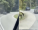 Myvi Expertly Drives in Reverse on Winding Backroad